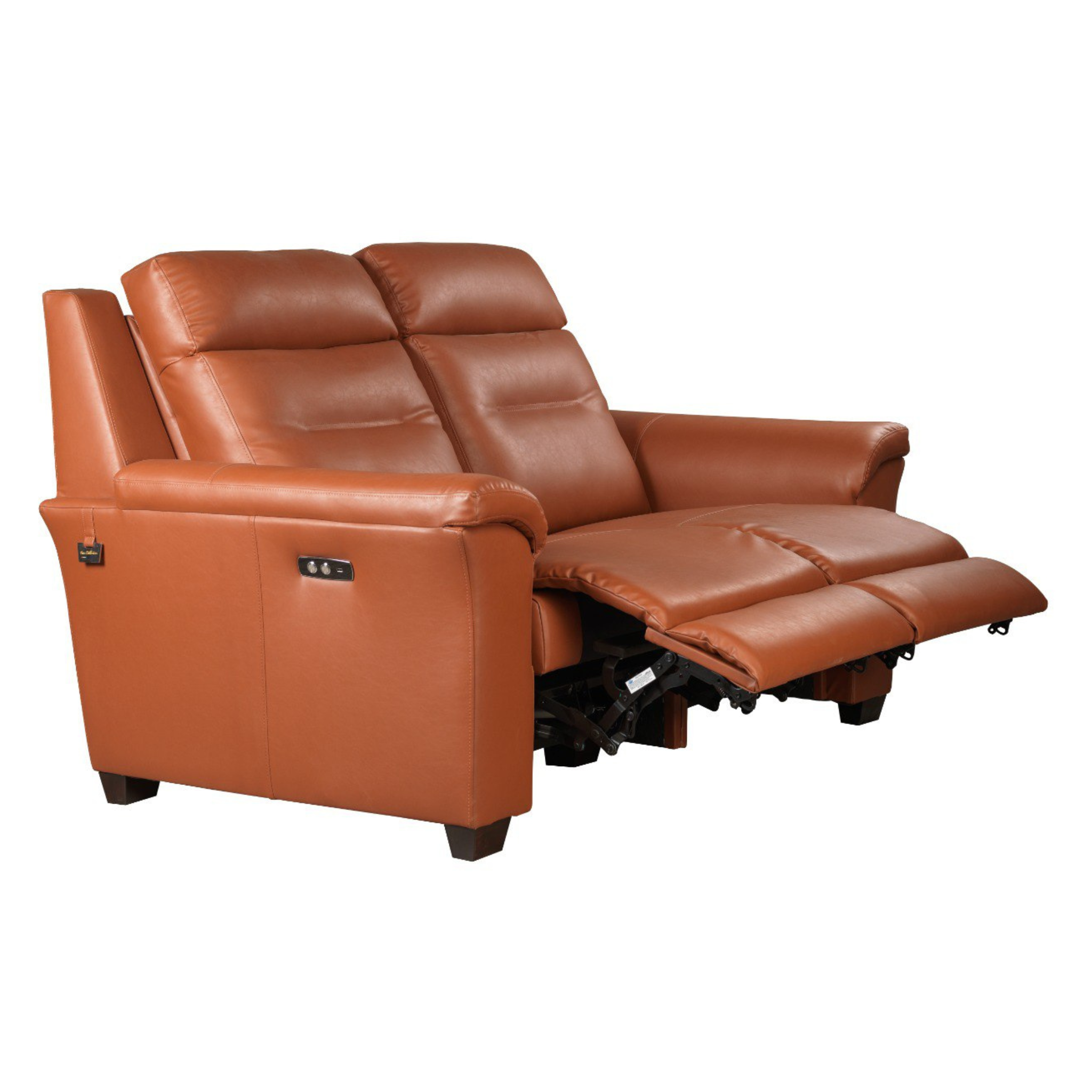 Trivi Motorised Recliner