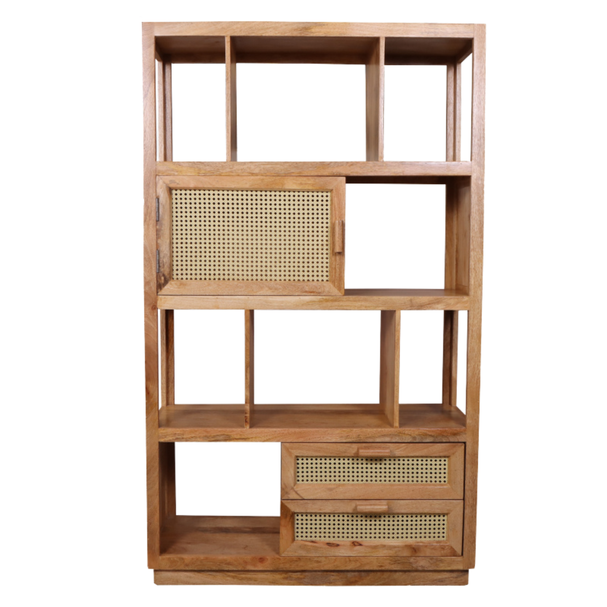 Pearl Rattan Bookshelf with Two Drawer