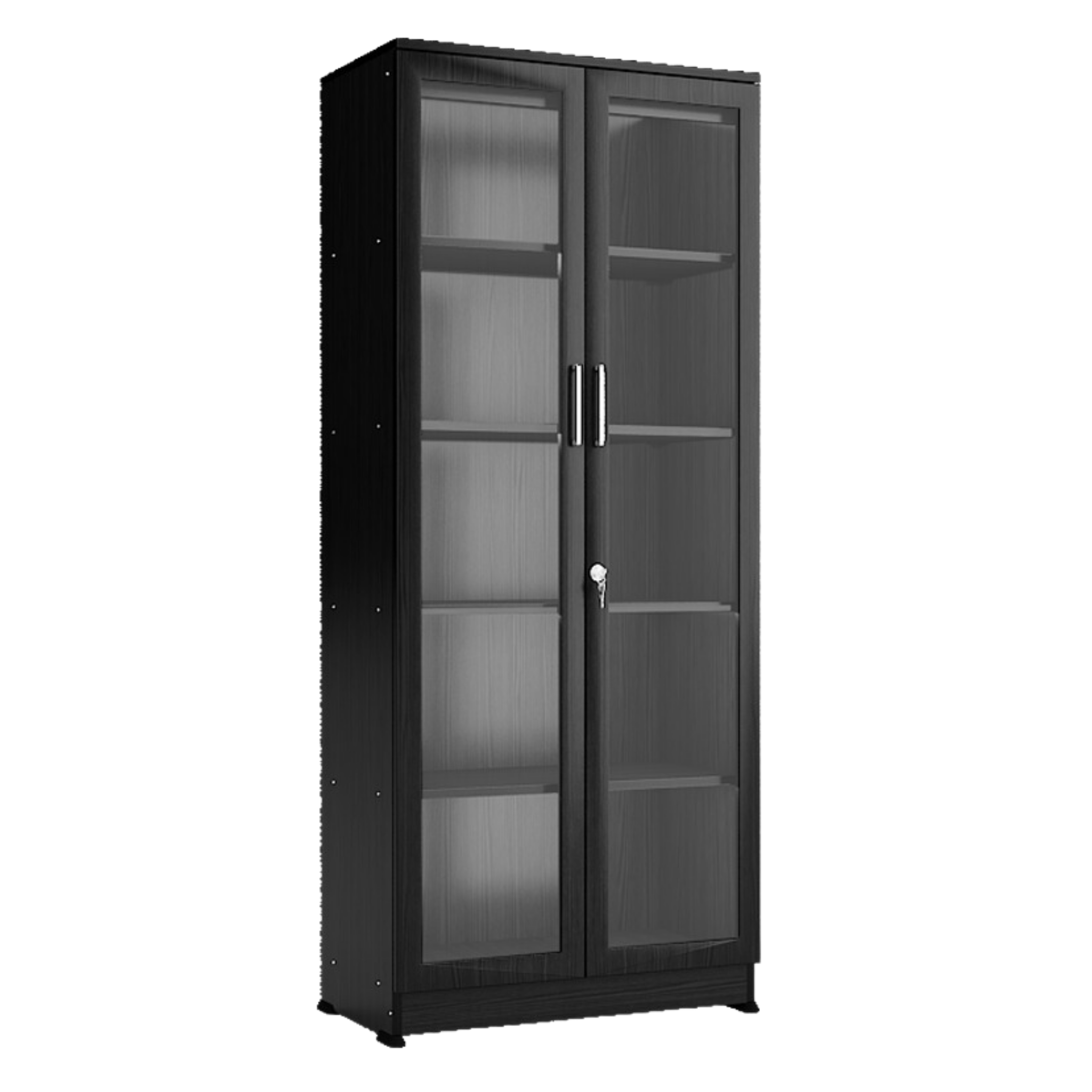 Two Door Four Tier Book Shelf