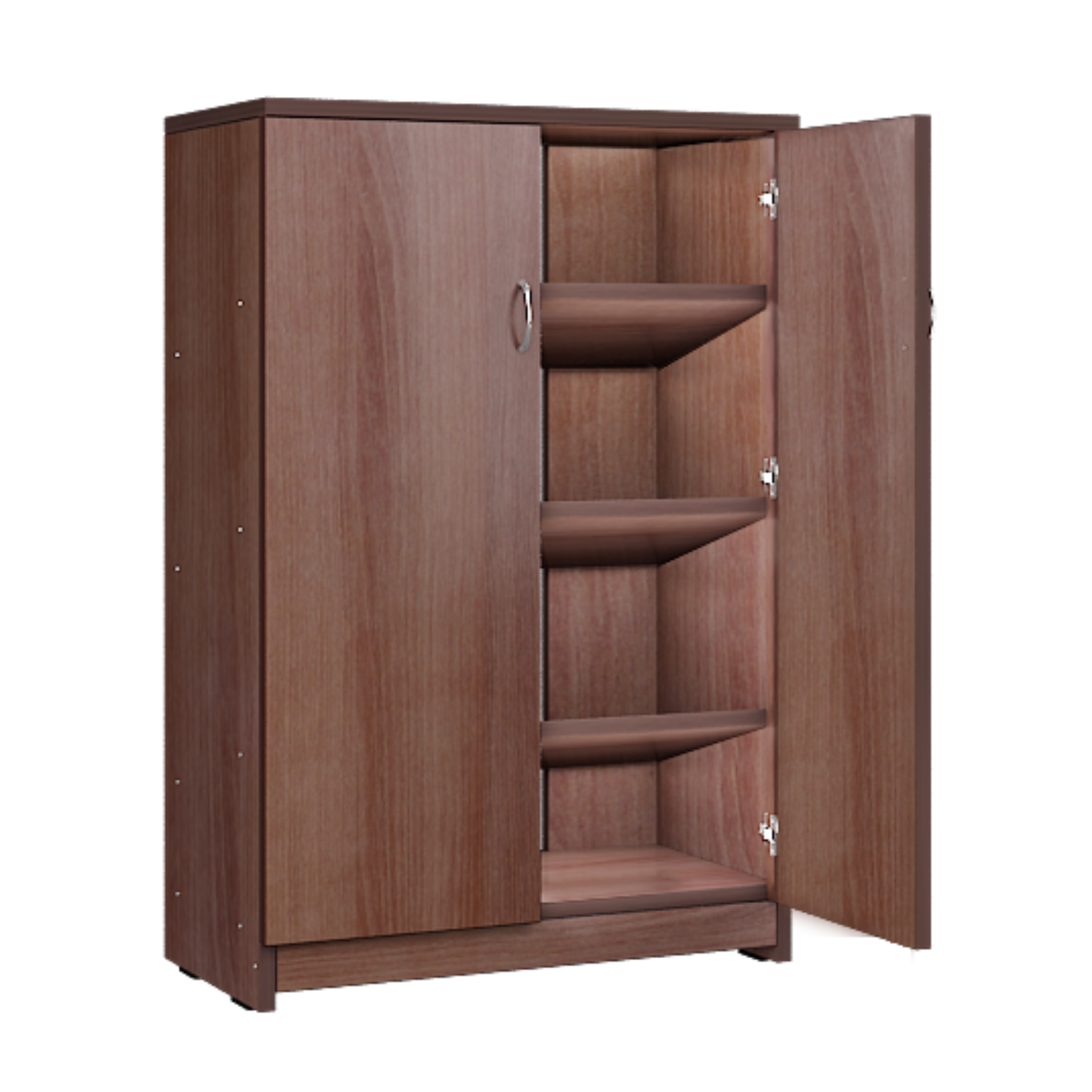 Two Door Cabinet Shoe Rack