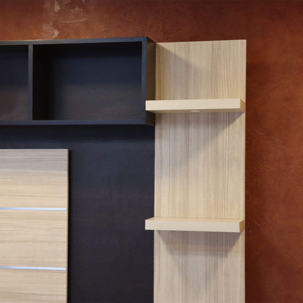 Tv Unit Showcase - SW010