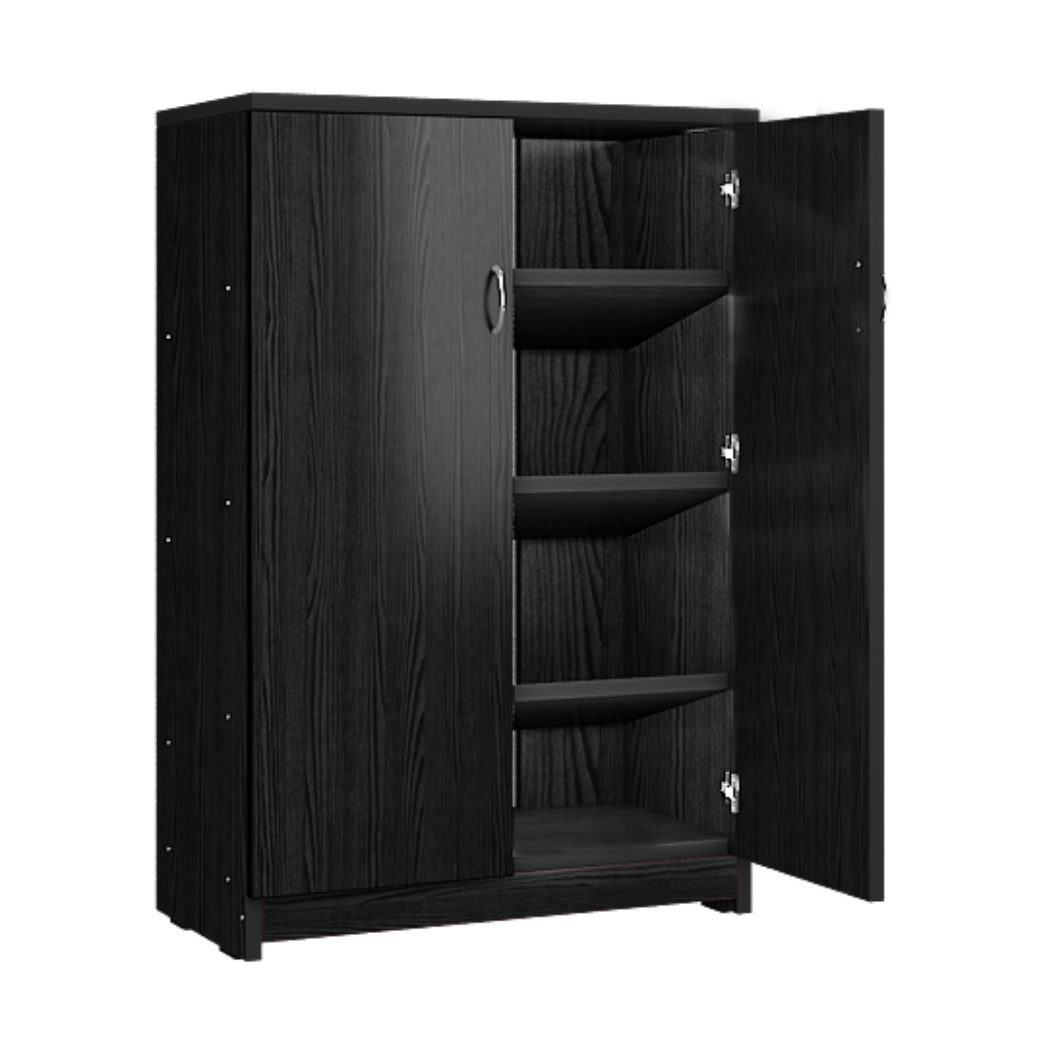 Two Door Cabinet Shoe Rack