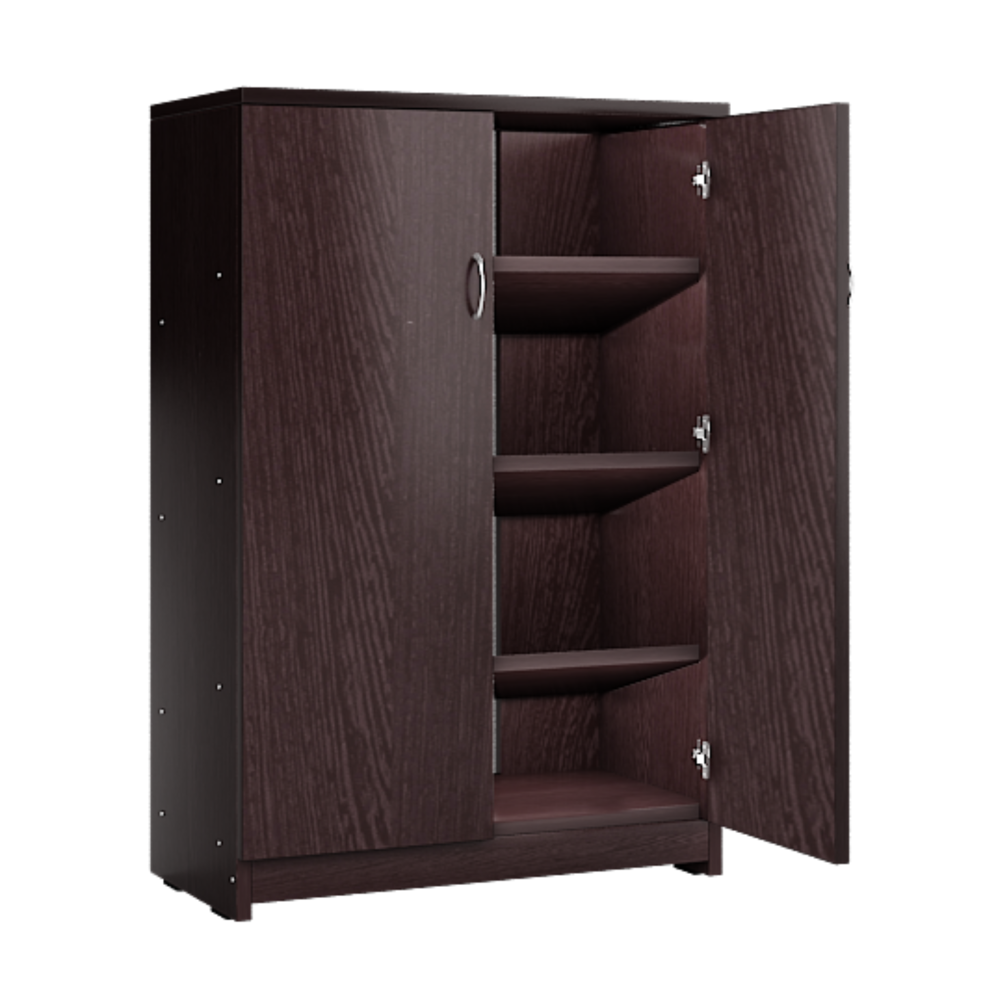 Two Door Cabinet Shoe Rack