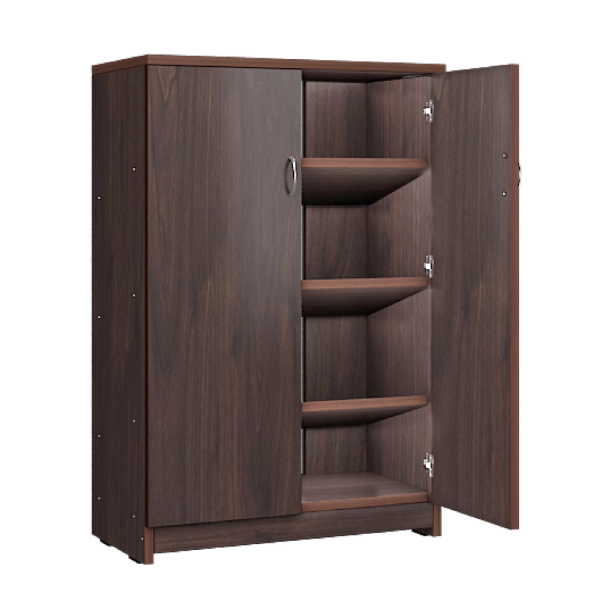 Two Door Cabinet Shoe Rack